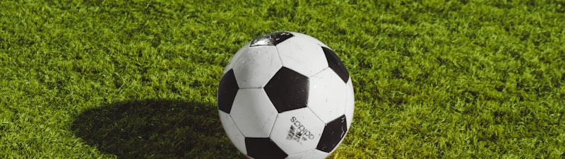 亚冠联赛北京国安对阵蔚山现代比赛录像截图 - 球迷欢呼场面